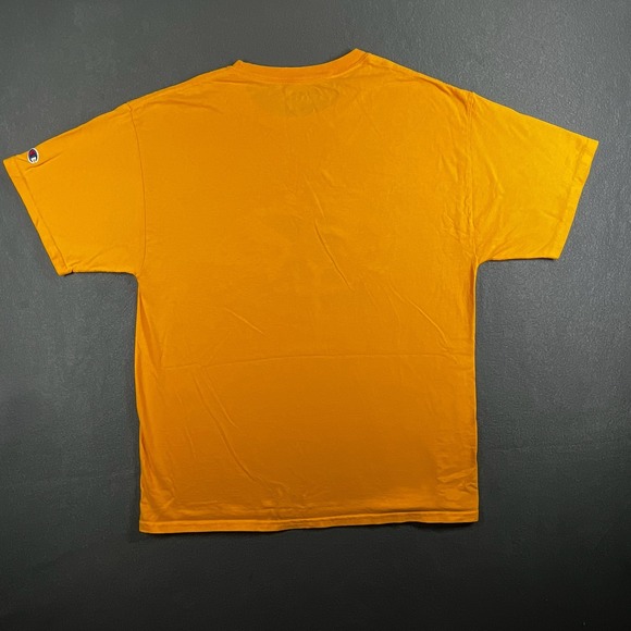 Champion Kent State T-Shirt Golden Flashes NCAA Tee Graphic L - Picture 2 of 7